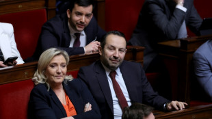 Assembl&eacute;e : le RN &eacute;choue &agrave; nouveau &agrave; faire passer ses textes, mais esp&egrave;re un gain dans l'opinion