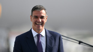 Spaniens Ministerpr&auml;sident S&aacute;nchez kommt zum WM-Finale