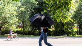 Canicule : des temp&eacute;ratures records attendues jusqu'en Angleterre
