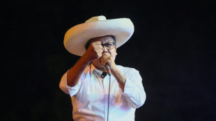Can Peru's new president survive a hostile Congress?