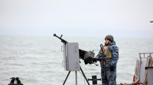 D&eacute;munie de sa marine, l'Ukraine face aux man&oelig;uvres navales russes