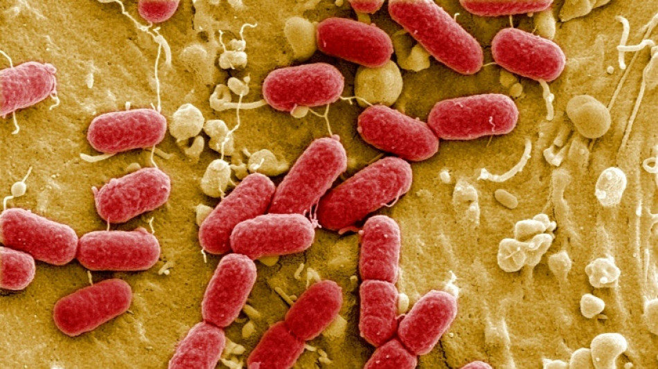 Resist&ecirc;ncia a antibi&oacute;ticos pode causar mais de 39 milh&otilde;es de mortes at&eacute; 2050