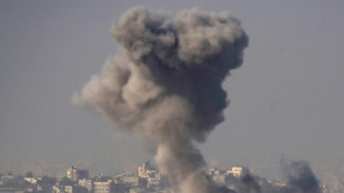 Israel rechaza un alto el fuego en Gaza un mes despu&eacute;s del inicio del conflicto