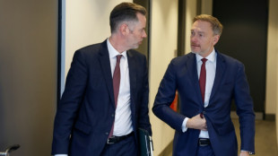 FDP beginnt zweitägigen Parteitag - personelle und inhaltliche Neuaufstellung