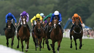 'Elegant' Ombudsman's princely performance lights up Royal Ascot