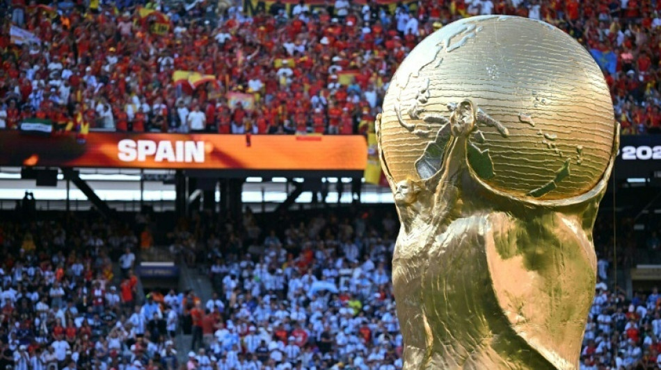 Ceferin skipped World Cup final reportedly to show disapproval of FIFA