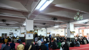 Têtes de cochons devant des mosquées en France : 11 arrestations en Serbie