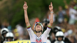Tour de France: Pogacar remporte la 6e &eacute;tape en solitaire et prend le maillot jaune