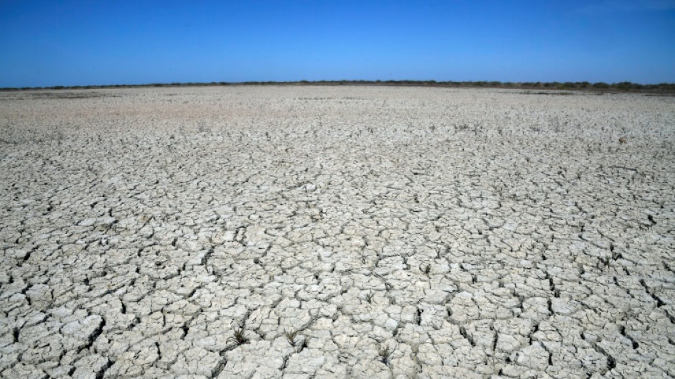 Espanha aprova pacote de medidas de &euro; 2 bilh&otilde;es contra seca