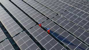 China, uma pot&ecirc;ncia industrial em tecnologias verdes