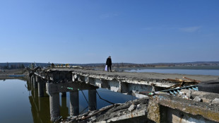 Les alli&eacute;s de l'Ukraine veulent faire payer la Russie pour la reconstruction 