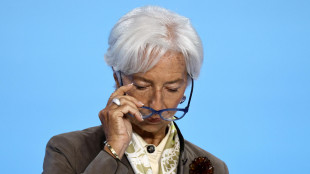 Lagarde, 'dazi frenano la crescita, impatto cala nel 2026
