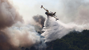 France needs more Canadair water bombers but building them is painfully slow