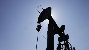 Petrolio e gas in rialzo, il Wti oltre 101 dollari