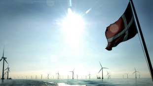 Le Danemark va hi&eacute;rarchiser l'acc&egrave;s au r&eacute;seau d'&eacute;lectricit&eacute;, d&eacute;pass&eacute; par les demandes