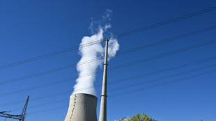 Ex-Verkehrsminister Scheuer f&uuml;r Bau neuer Atomkraftwerke