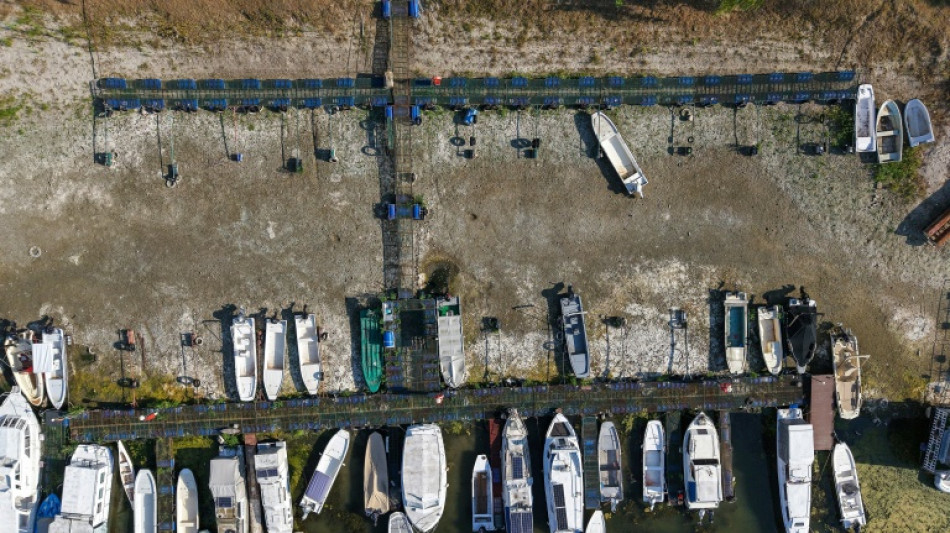 Danube drops to 'historic lows' as fresh heatwave hits