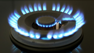 Regierung sieht bei Gaspreisbremse keine Entlastungsl&uuml;cke im Januar und Februar