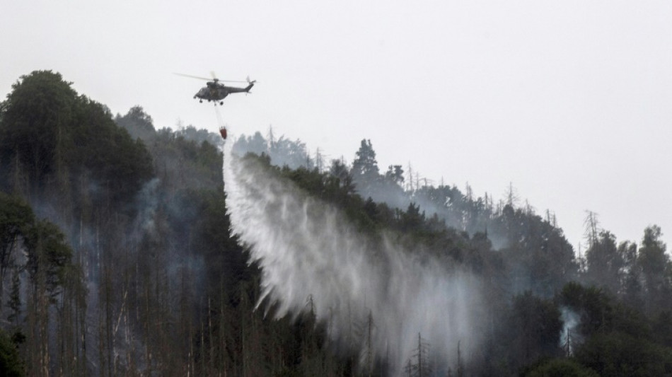 Hunderte Feuerwehrleute weiter im Einsatz gegen Waldbrand in S&auml;chsischer Schweiz