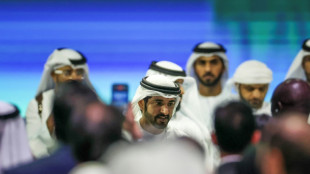 AI romance scam impersonating Dubai prince ensnares victims