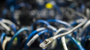 Schlag gegen Botnetze: Zwei der weltgr&ouml;&szlig;ten IT-Schadprogramme lahmgelegt