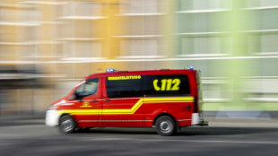 An Kinderspielplatz in Heidelberg: Mann durch herabfallenden Ast t&ouml;dlich verletzt