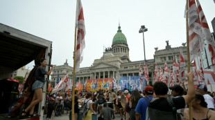 Rev&eacute;s legislativo de Milei adiciona incertezas &agrave; crise na Argentina