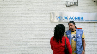 En un mundo plagado de crisis, &iquest;qui&eacute;n ganar&aacute; el Premio Nobel de la Paz?
