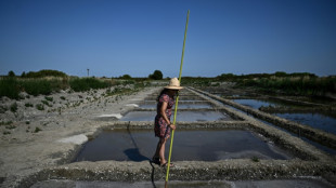 Climat: face aux submersions, l'&icirc;le d'Ol&eacute;ron ravive ses marais salants