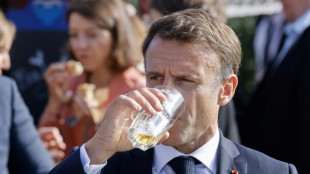 El cambio clim&aacute;tico perturba la calidad del l&uacute;pulo para fabricar cerveza en Europa