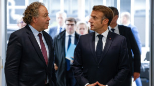 L'automobile européenne dans une situation "très préoccupante", selon un représentant de la filière