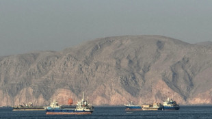 Ormuz, Bab el-Mandeb ou Malacca: les d&eacute;troits, zones de tensions g&eacute;opolitiques et commerciales depuis le XVIe si&egrave;cle