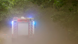 Gr&ouml;&szlig;erer Fl&auml;chenbrand in Mecklenburg-Vorpommern - Behindertenwerkstatt ger&auml;umt