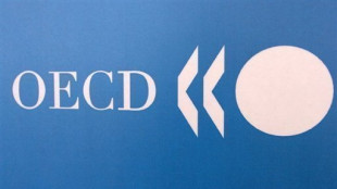 OCDE destaca papel do setor p&uacute;blico como motor de investimento na AL
