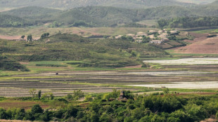 Corea del Norte dispar&oacute; tres "misiles bal&iacute;sticos" 