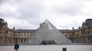 Louvre, fermati due sospetti