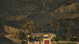 6600 Hektar Land durch Waldbrand in Spanien zerst&ouml;rt - Wetterbedienungen bessern sich