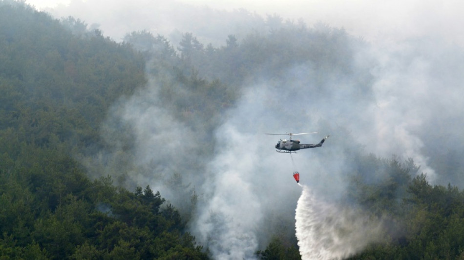 Riesiger Brand in einem der gr&ouml;&szlig;ten Nadelw&auml;lder im Libanon ausgebrochen