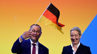 Les dirigeants du parti d'extr&ecirc;me droite allemand r&eacute;&eacute;lus samedi malgr&eacute; des milliers de contre-manifestants