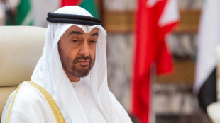 Mohamed Bin Zayed, de l&iacute;der entre bastidores a presidente de Emiratos &Aacute;rabes Unidos  






