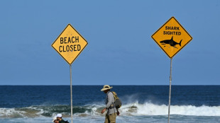 Shark kills one person, injures another in Australia