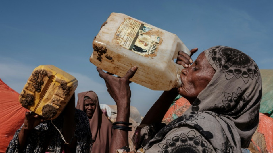 Sequ&iacute;a en Cuerno de &Aacute;frica amenaza con hambruna a 20 millones de personas
