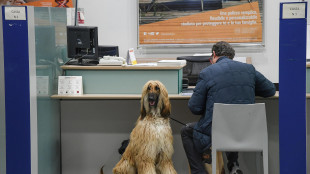 Crif, più italiani accedono al credito ma per importi minori