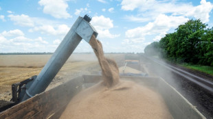 C&eacute;r&eacute;ales ukrainiennes : signature attendue &agrave; Istanbul d'un accord enfin trouv&eacute;
