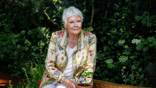 Judi Dench, a causa della macula è praticamente cieca