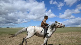 En Mongolie, des enfants jockeys au galop avant les courses du Naadam