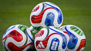 Nouripour: Erfolgreicher Fu&szlig;ball-WM-Auftritt wird nicht auf Regierung abf&auml;rben