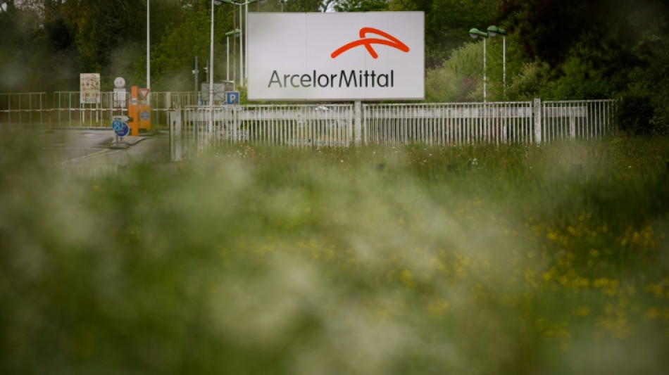 ArcelorMittal vis&eacute; par plusieurs redressements fiscaux en France