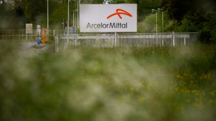 ArcelorMittal vis&eacute; par plusieurs redressements fiscaux en France