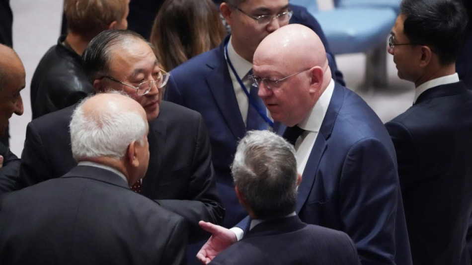 Fracasa resoluci&oacute;n sobre conflicto israelo-palestino en el Consejo de Seguridad por veto de EEUU